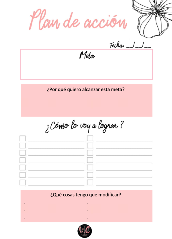 Plan de Acción